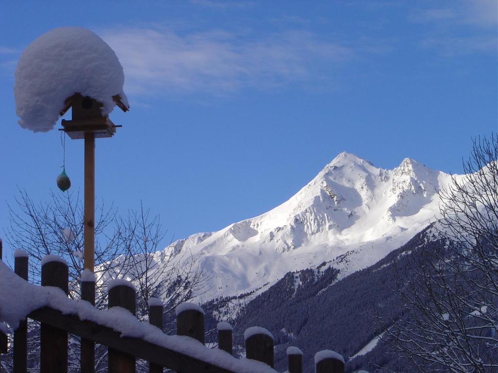 Haus Harbauer Apartment Neustift im Stubaital Exterior photo